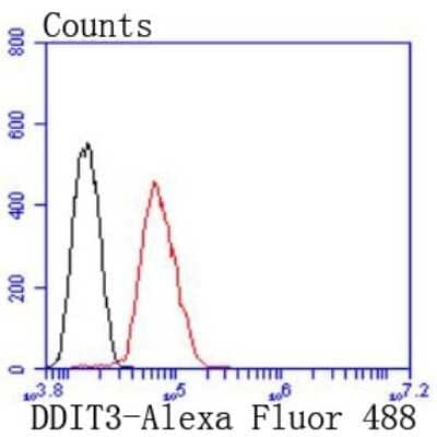 Flow Cytometry: GADD153/CHOP Antibody (JM10-31) [NBP2-66856]