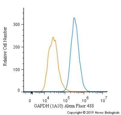 Flow Cytometry: GAPDH Antibody (1A10) - BSA Free [NBP1-47339]