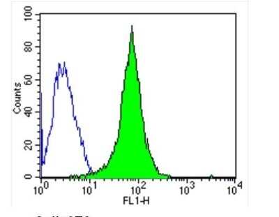 Flow Cytometry: GAPDH Antibody (GA1R) - Azide and BSA Free [NBP2-37828]