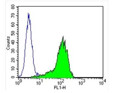 Flow Cytometry: GAPDH Antibody (GA1R) - Azide and BSA Free [NBP2-37828]