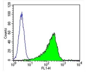 Flow Cytometry: GAPDH Antibody (GA1R) - Azide and BSA Free [NBP2-37828]