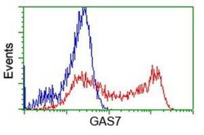 Flow Cytometry: GAS7 Antibody (OTI2F6) - Azide and BSA Free [NBP2-71376]