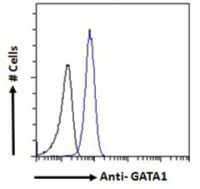 Flow Cytometry: GATA-1 Antibody [NB100-2443]