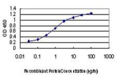 ELISA: GATA-2 Antibody (2F12) [H00002624-M03]