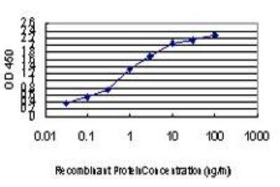ELISA: GATA-2 Antibody (2G11) [H00002624-M04]