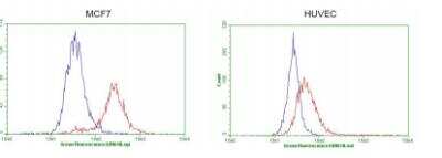 Flow Cytometry: GATA-3 Antibody (OTI8H4) [NBP2-45810]