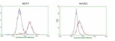Flow Cytometry: GATA-3 Antibody (OTI8H4) - Azide and BSA Free [NBP2-70796]