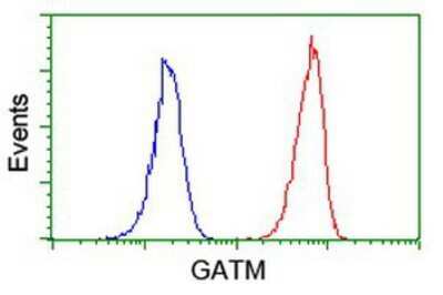 Flow Cytometry: GATM Antibody (OTI1E3) [NBP2-00984]