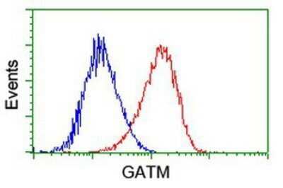Flow Cytometry: GATM Antibody (OTI1E3) - Azide and BSA Free [NBP2-70802]