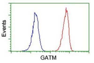 Flow Cytometry: GATM Antibody (OTI1E3) - Azide and BSA Free [NBP2-70802]