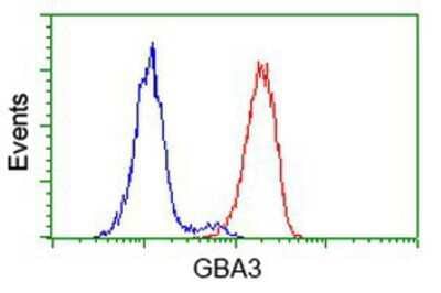 Flow Cytometry: Cytosolic beta-Glucosidase/GBA3 Antibody (OTI1F1) [NBP2-00521]