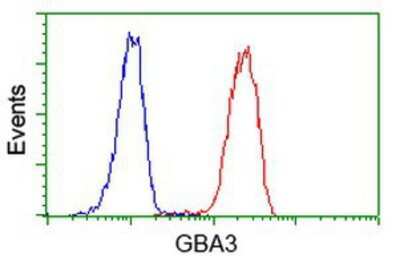 Flow Cytometry: Cytosolic beta-Glucosidase/GBA3 Antibody (OTI1F1) [NBP2-00521]