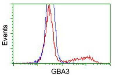Flow Cytometry: Cytosolic beta-Glucosidase/GBA3 Antibody (OTI1F1) [NBP2-00521]