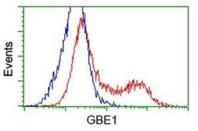 Flow Cytometry: GBE1 Antibody (OTI1D11) [NBP2-02245]