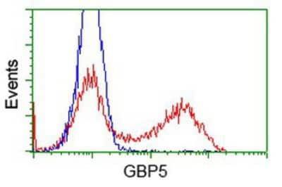 Flow Cytometry: GBP5 Antibody (OTI5C9) [NBP2-03468]