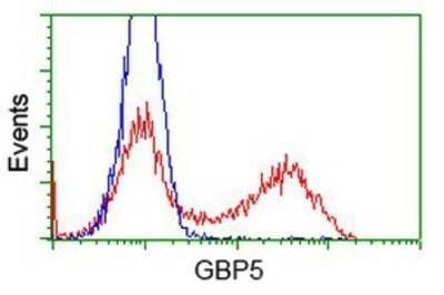 Flow Cytometry: GBP5 Antibody (OTI5C9) - Azide and BSA Free [NBP2-72343]