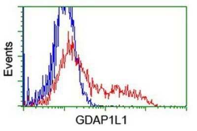 Flow Cytometry: GDAP1L1 Antibody (OTI1G5) - Azide and BSA Free [NBP2-72182]