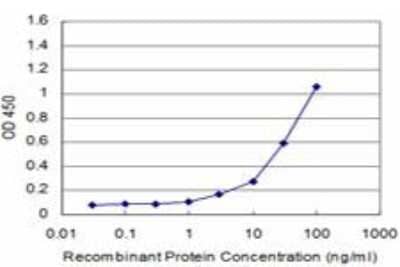 ELISA: GDF-11/BMP-11 Antibody (1E11) [H00010220-M09]