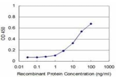 ELISA: GDF-7/BMP-12 Antibody (3E3) [H00151449-M05]