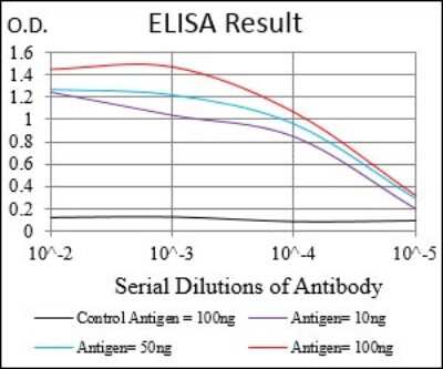 ELISA: GDF-8/Myostatin Antibody (6E4B2) - BSA Free [NBP2-37260]
