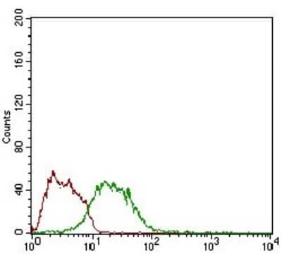 Flow Cytometry: GDF-8/Myostatin Antibody (6E4B2) - BSA Free [NBP2-37260]