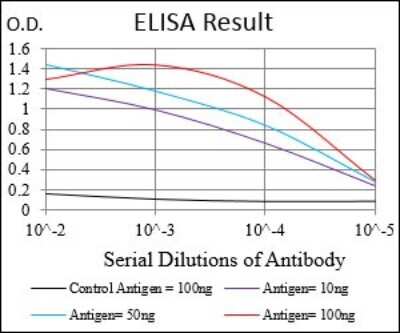 ELISA: GDF-8/Myostatin Antibody (6E4E6) - BSA Free [NBP2-37264]