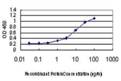 ELISA: GDI1 Antibody (1H3) [H00002664-M08]