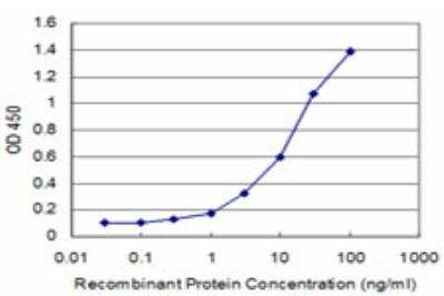 ELISA: GEMIN6 Antibody (3D2) [H00079833-M08]