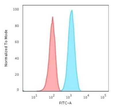 Flow Cytometry: GFAP Antibody (ASTRO/1974R) - Azide and BSA Free [NBP3-08431]