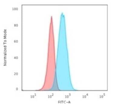 Flow Cytometry: GFAP Antibody (GA-5) [NBP2-29415]
