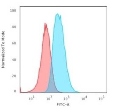 Flow Cytometry: GFAP Antibody (SPM248) [NBP2-34353]