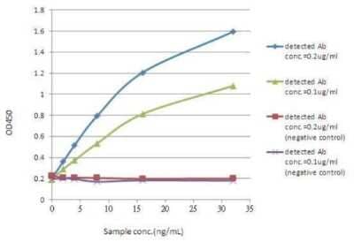 ELISA: GFP Antibody (859) [NBP2-43575]