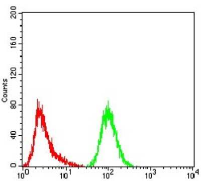 Flow Cytometry: GFPT1 Antibody (1F1A4) - BSA Free [NBP2-52472]