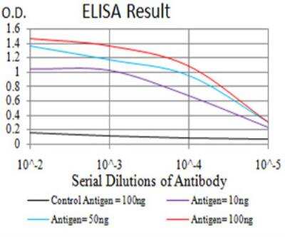 ELISA: GFPT1 Antibody (1F1B9) - BSA Free [NBP2-52474]