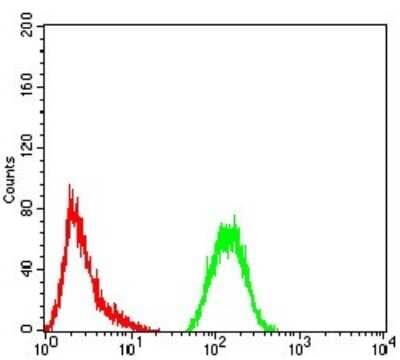 Flow Cytometry: GFPT1 Antibody (1F1B9) - BSA Free [NBP2-52474]