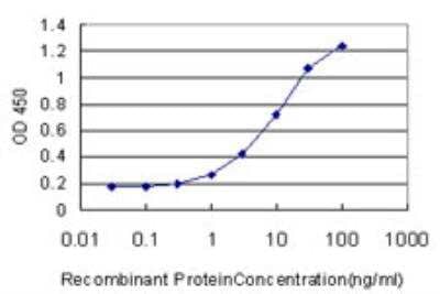 ELISA: GGPS1 Antibody (1C3) [H00009453-M08]