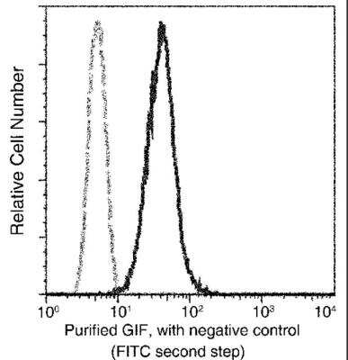Flow Cytometry: GIF Antibody (007) [NBP2-90225]