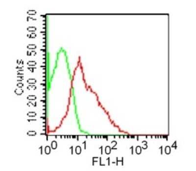 Flow Cytometry: GITR/TNFRSF18 Antibody (DTA-1) [NBP2-26661]