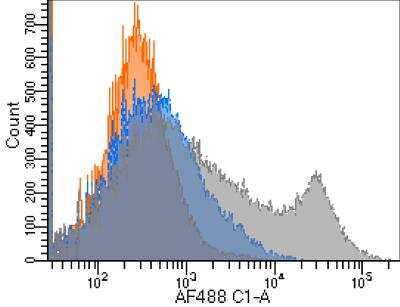 Flow Cytometry: GITR/TNFRSF18 Antibody (YGITR765) - Chimeric - Azide and BSA Free [NBP2-81090]