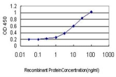 ELISA: GK3P Antibody (2H4) [H00002713-M03]