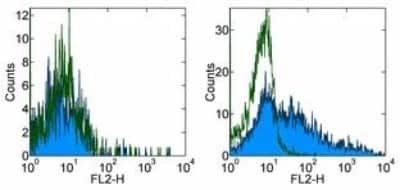 Flow Cytometry: GL7 (T and B Cell Activation Marker) Antibody (GL-7) [NBP2-00362]