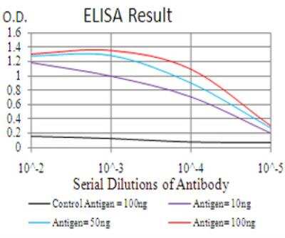 ELISA: GLI-1 Antibody (1B9F8) - BSA Free [NBP2-52475]