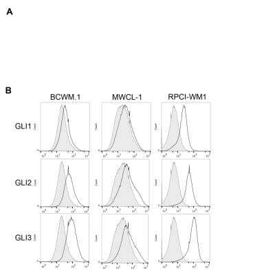 Flow (Intracellular): GLI-3 Antibody - BSA Free [NBP2-29627]