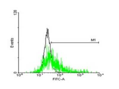 Flow Cytometry: GLIPR1L1 Antibody [H00256710-B03P]