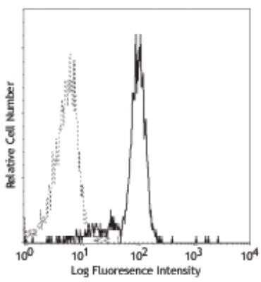 Flow Cytometry: GM-CSFR alpha Antibody (4H1) [NBP1-43361]