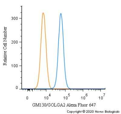 Flow Cytometry: GM130/GOLGA2 Antibody - BSA Free [NBP2-53420]