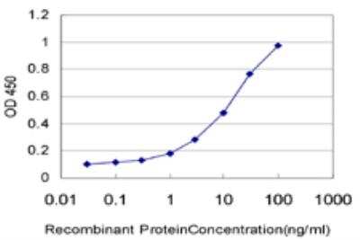 ELISA: GMPPB Antibody (2B5) [H00029925-M07]