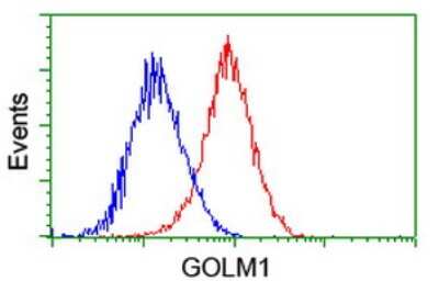 Flow Cytometry: GOLM1 Antibody (OTI4B12) [NBP2-01639]