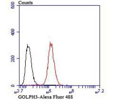 Flow Cytometry: GOLPH3 Antibody [NBP2-75515]