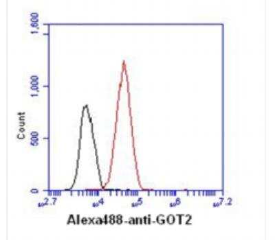 Flow Cytometry: GOT2 Antibody (8B11) - BSA Free [NBP2-59428]